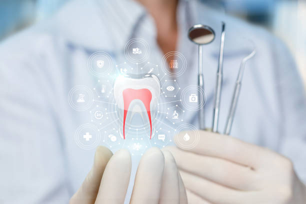 Hewlett Harbor, NY Holistic Dental Care Services Company